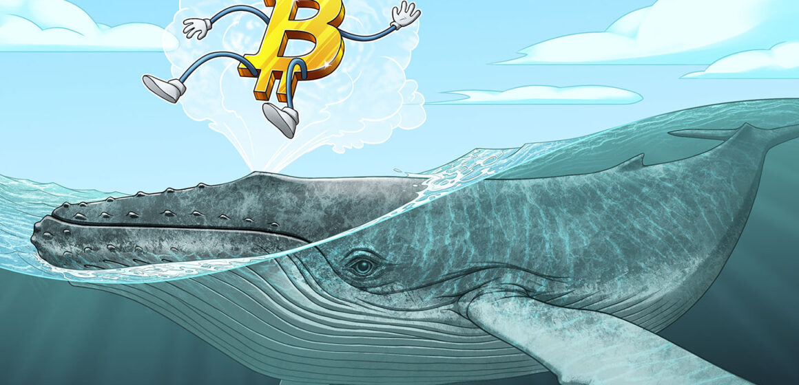 Satoshi-era Bitcoin wakes after 16 years of dormancy as 600 BTC moves