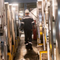 Steelworker