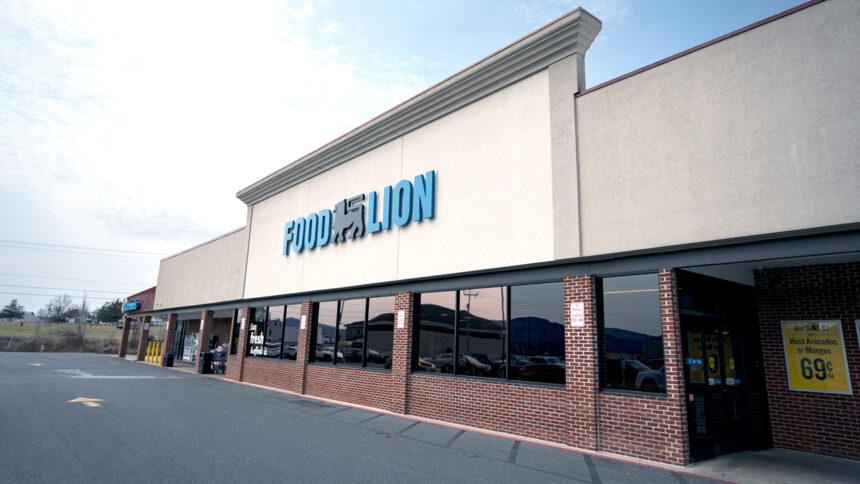 Food lion store